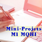 MINI-PROJETS M1-MQHI