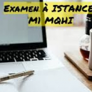 Examen à Distance M1-MQHI EAD