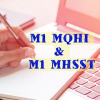 M1HSSTMQHI